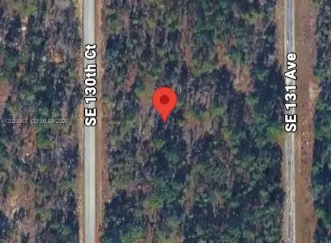 Lot 49 SE 130th Court Other City - In The State Of Florida FL 34431