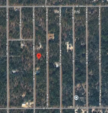 Lot 49 SE 130th Court Other City - In The State Of Florida FL 34431