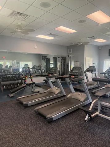 342 Star Shell Drive Tampa FL 33572