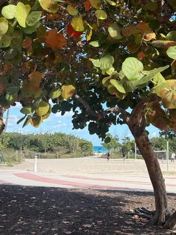 7928 Harding Avenue Miami Beach FL 33141