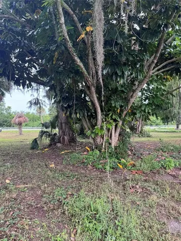 19121 SW Conners Highway Port Mayaca FL 33438