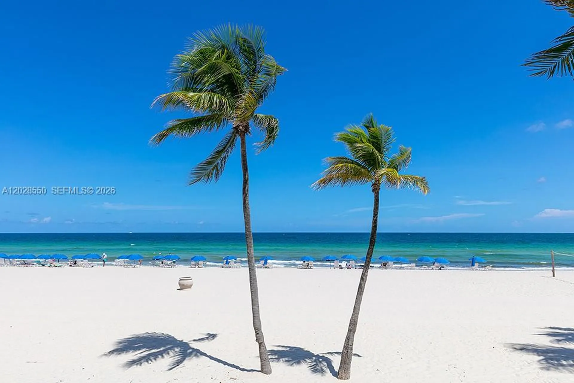 2401 S Ocean Drive Hollywood FL 33019