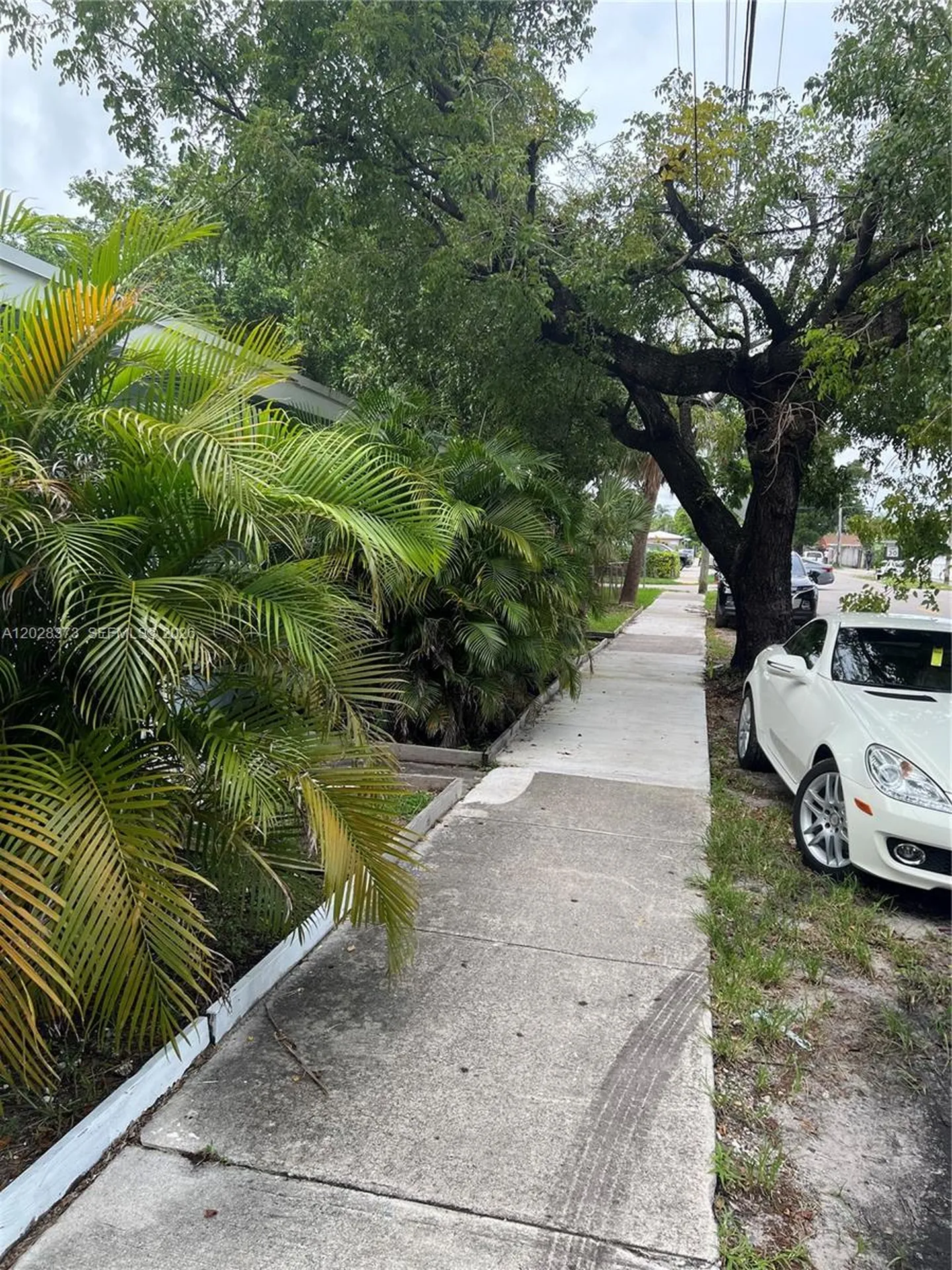 2118 N 19th Avenue Hollywood FL 33020