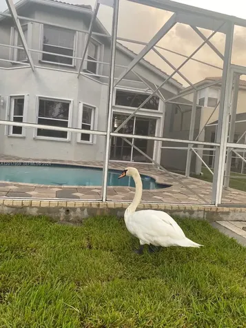 15341 NW 4 Street Pembroke Pines FL 33028