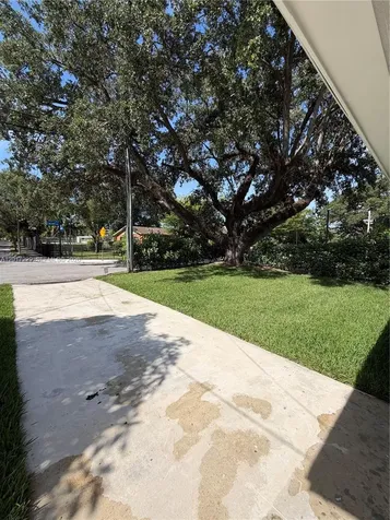 6091 SW 64th Terrace South Miami FL 33143