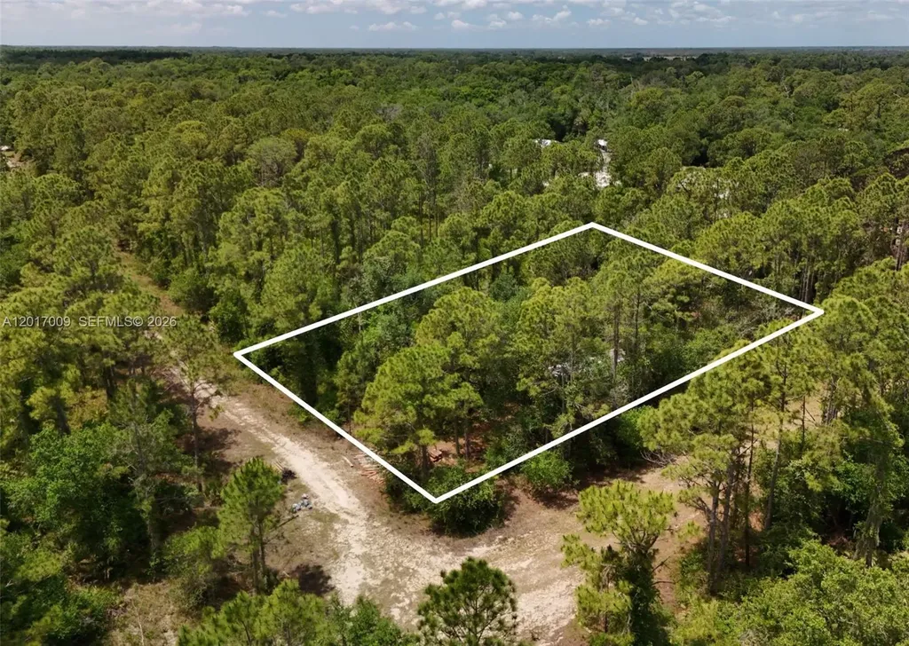 0 SW Nassau Avenue Other City - In The State Of Florida FL 34266