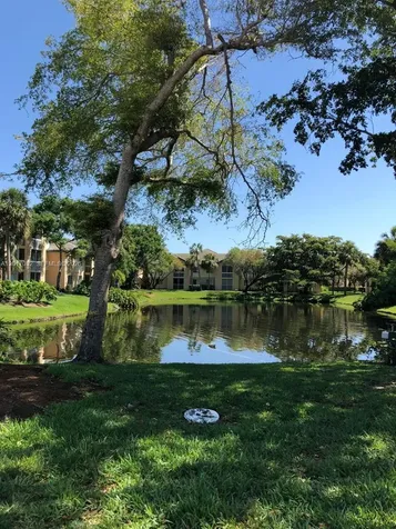 9855 Westview Drive Coral Springs FL 33076