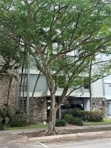 820 Salzedo Street Coral Gables FL 33134
