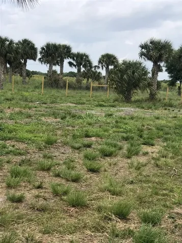 Xxxx SW Amaryllis Avenue Indian Town FL 34956