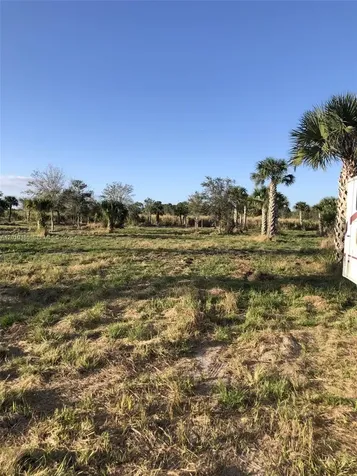Xxxx SW Amaryllis Avenue Indian Town FL 34956