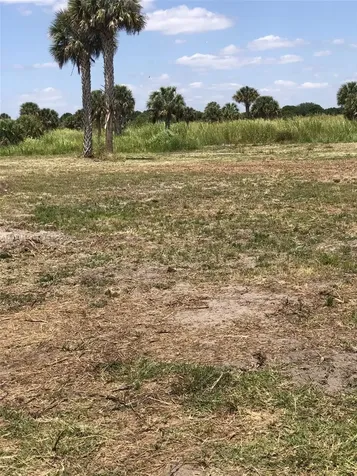 Xxxx SW Amaryllis Avenue Indian Town FL 34956