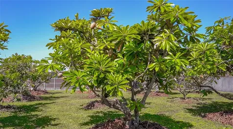 26500 SW 167th Avenue Homestead FL 33031