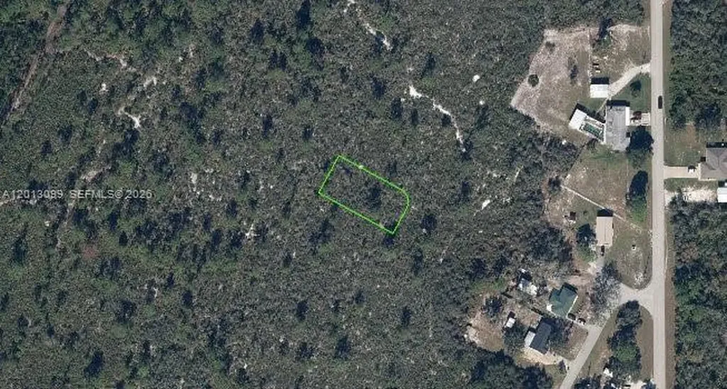 1425 Doolittle Street Lake Placid FL 33852