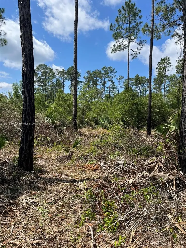 117 Lodge Pole Circle Other City - In The State Of Florida FL 32139