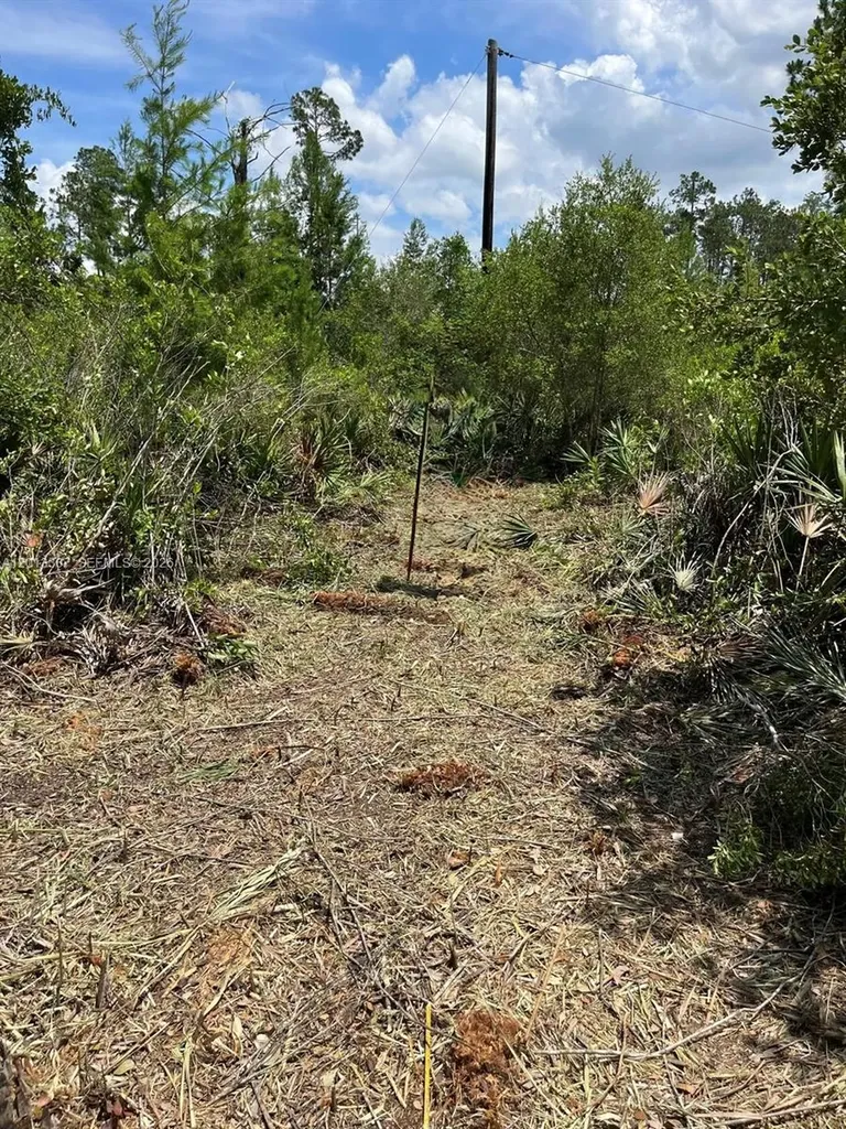 117 Lodge Pole Circle Other City - In The State Of Florida FL 32139