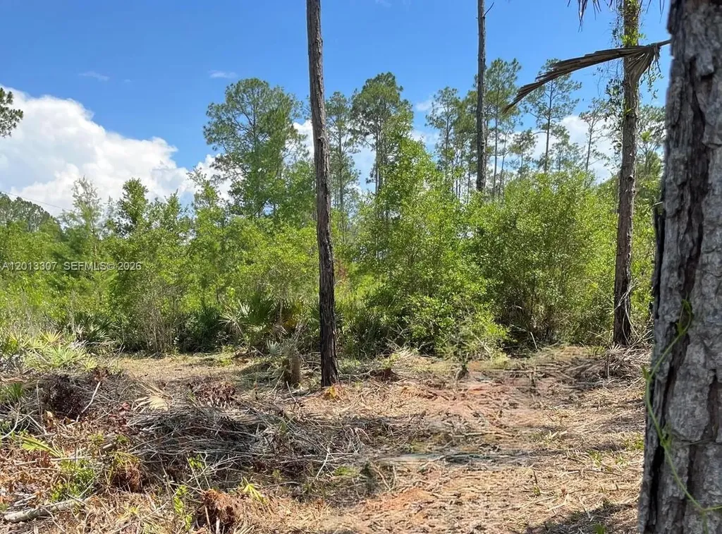 117 Lodge Pole Circle Other City - In The State Of Florida FL 32139