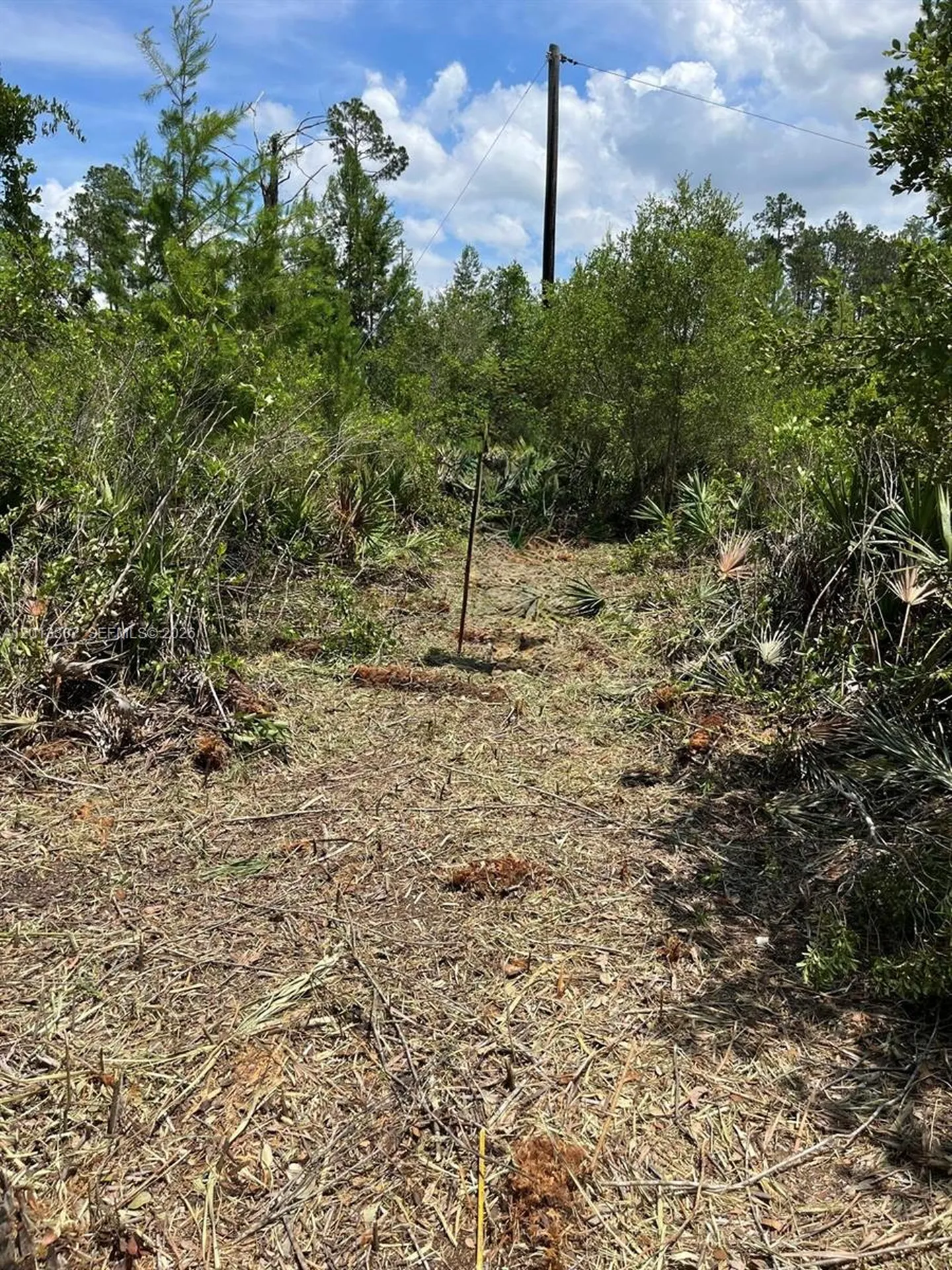 117 Lodge Pole Circle Other City - In The State Of Florida FL 32139