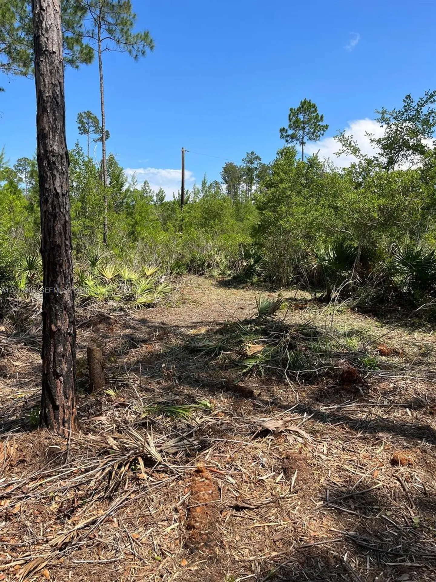 117 Lodge Pole Circle Other City - In The State Of Florida FL 32139