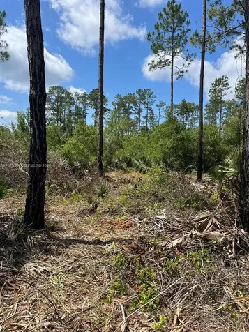 117 Lodge Pole Circle Other City - In The State Of Florida FL 32139