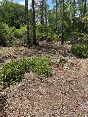 117 Lodge Pole Circle Other City - In The State Of Florida FL 32139