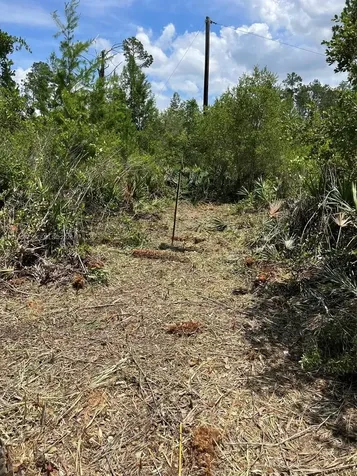117 Lodge Pole Circle Other City - In The State Of Florida FL 32139