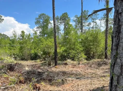 117 Lodge Pole Circle Other City - In The State Of Florida FL 32139