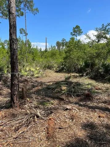 117 Lodge Pole Circle Other City - In The State Of Florida FL 32139