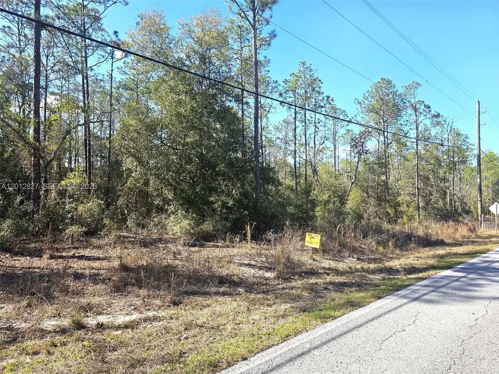 No Situs SW Breezy Point Drive Other City - In The State Of Florida FL 34431