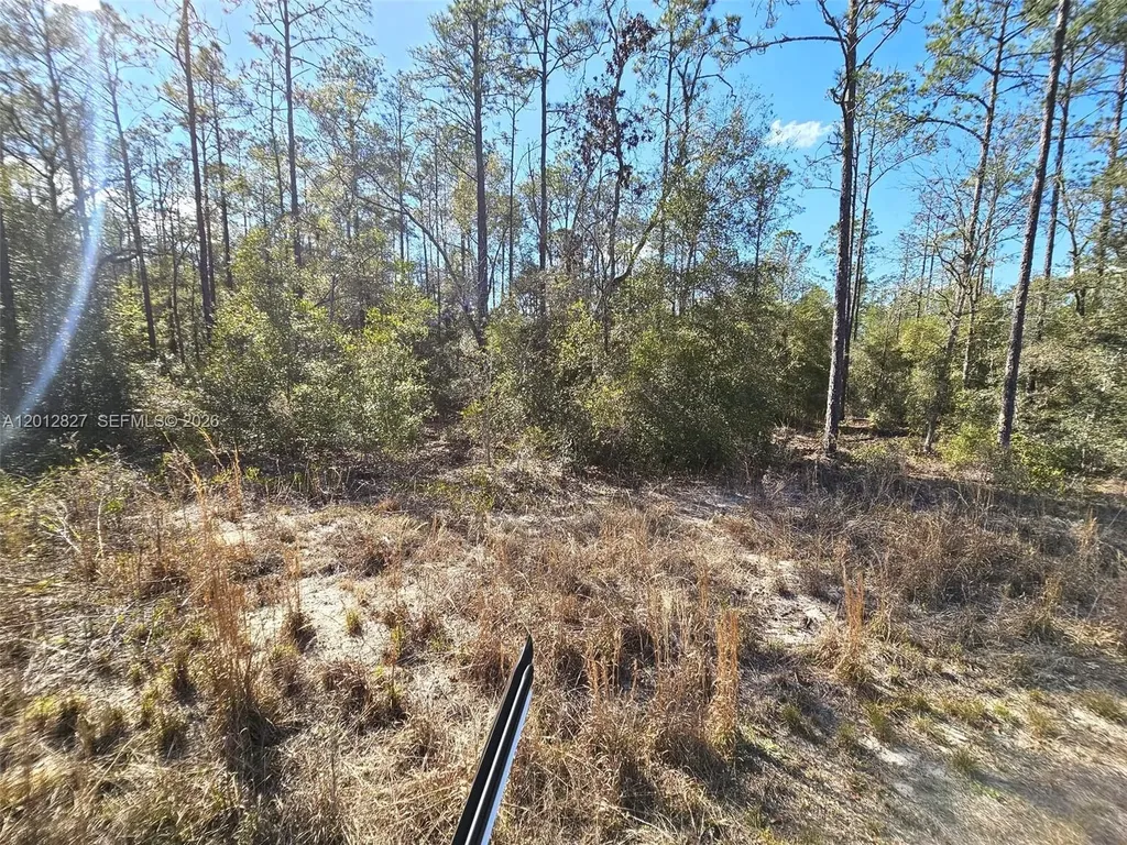 No Situs SW Breezy Point Drive Other City - In The State Of Florida FL 34431