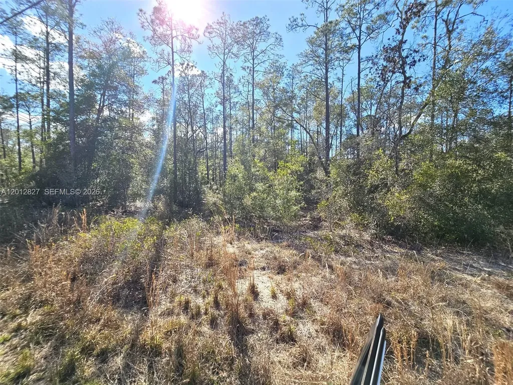 No Situs SW Breezy Point Drive Other City - In The State Of Florida FL 34431