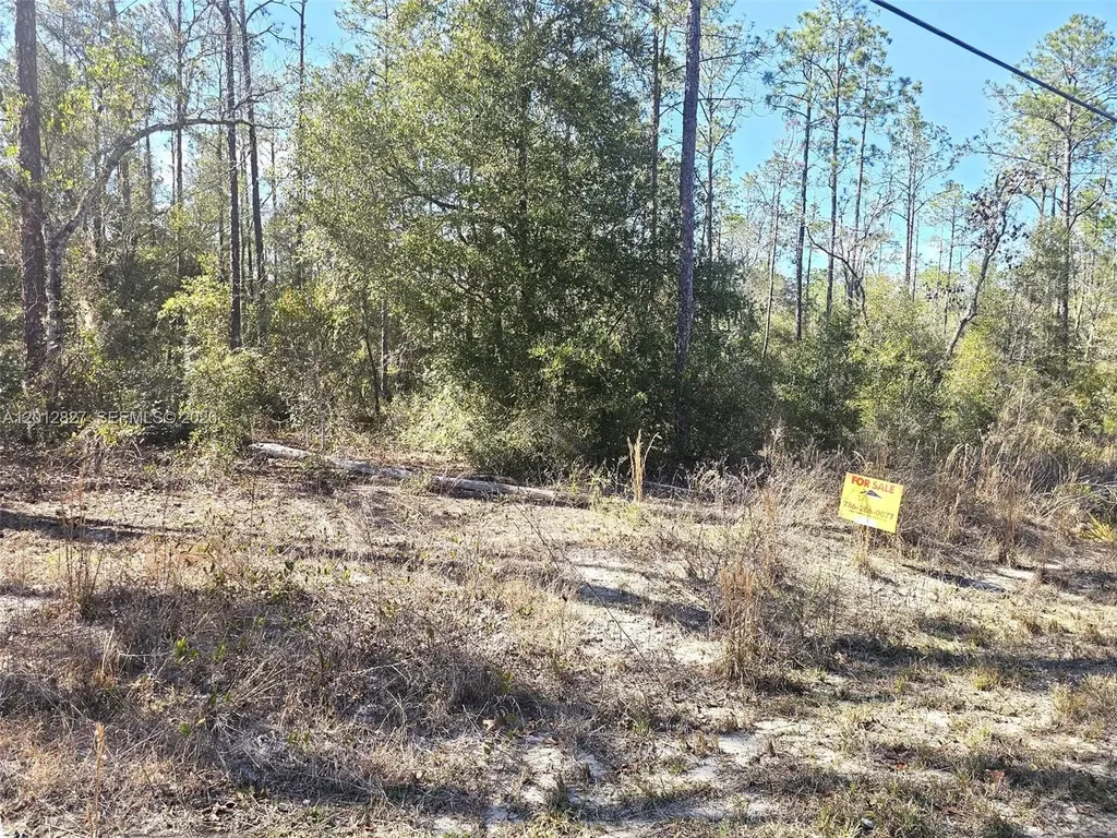 No Situs SW Breezy Point Drive Other City - In The State Of Florida FL 34431