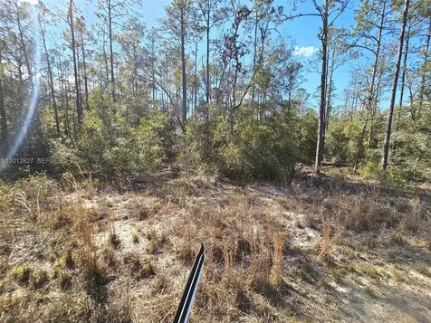 No Situs SW Breezy Point Drive Other City - In The State Of Florida FL 34431