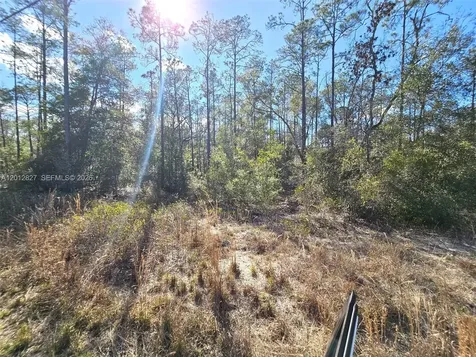 No Situs SW Breezy Point Drive Other City - In The State Of Florida FL 34431