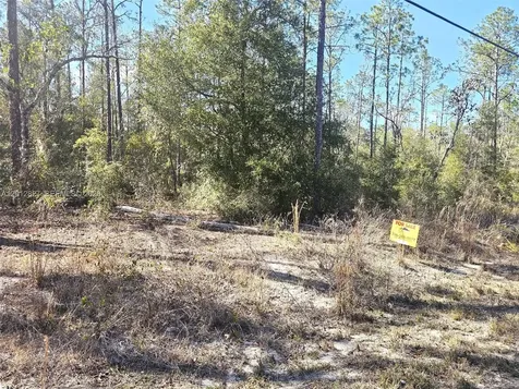 No Situs SW Breezy Point Drive Other City - In The State Of Florida FL 34431