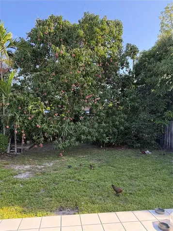 399 W 12th Street Hialeah FL 33010