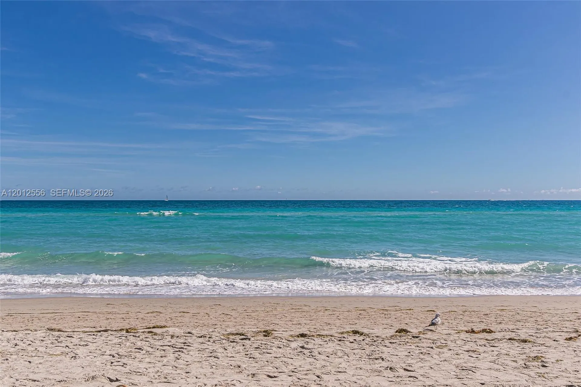1801 S Surf Road Hollywood FL 33019
