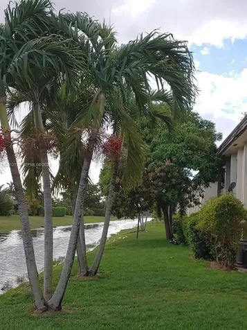 11128 Royal Palm Boulevard Coral Springs FL 33065