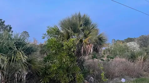 3485 NE 35th Avenue Naples FL 34120