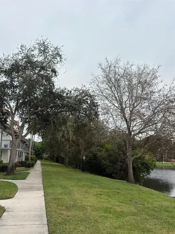 2042 Alta Meadows Lane Delray Beach FL 33444