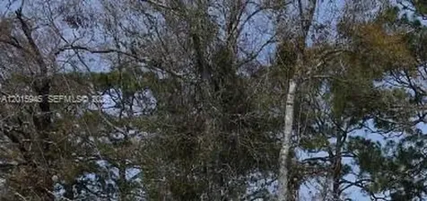 609 SE 2nd Avenue Other City - In The State Of Florida FL 32359