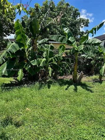 1181 SW 141st Avenue Miami FL 33184