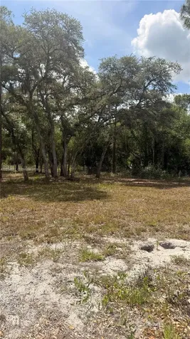 465 S Estribo Street Clewiston FL 33440-2613