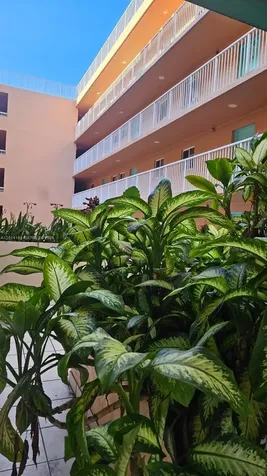 6801 Harding Avenue Miami Beach FL 33141