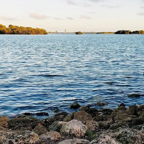 585 NE 66th Street Miami FL 33138