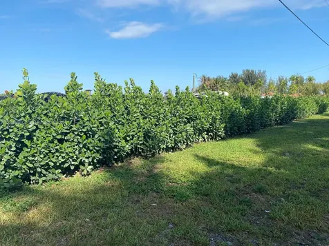 15542 SW 212th Avenue Miami FL 33187