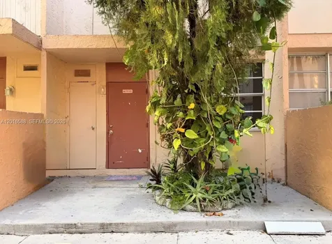 6170 SW 68th Street South Miami FL 33143