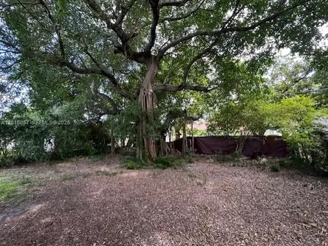 1036 NW 64th Street Miami FL 33150