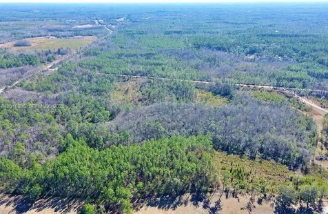 Vacant Land Sands Loop SW Greenville Other City - In The State Of Florida FL 32331