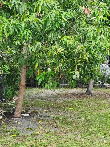 551 NE 139th Street North Miami FL 33161