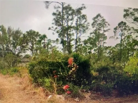 27183 N Twin Lakes Drive Punta Gorda FL 33955